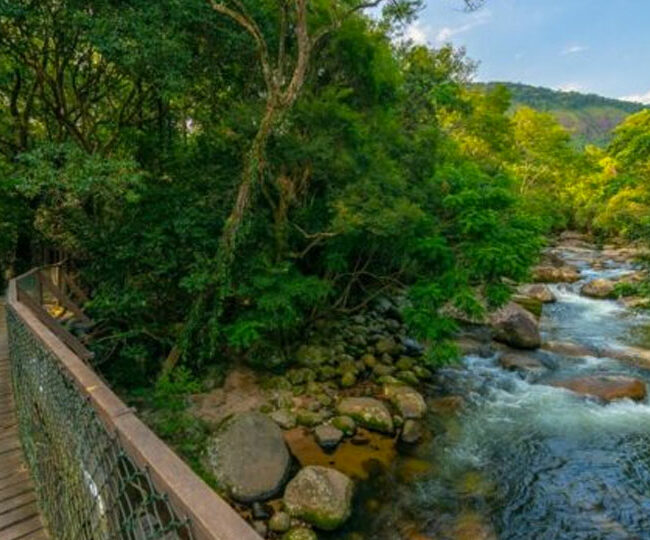 Cachoeira do Poço Fundo - Praia do Bonete - Ilhabela