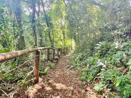 Ilhabela Pousada Banana Verde - Pousada no sul de Ilhabela