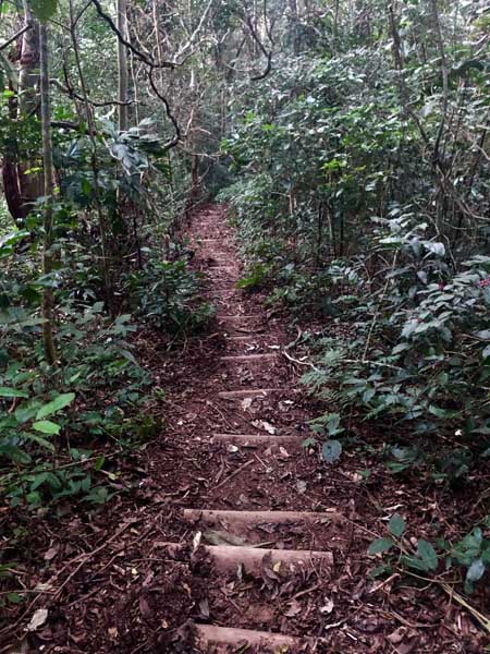 Escadas Trilha do Baepi - Ilhabela - Por Elas Mundo Afora