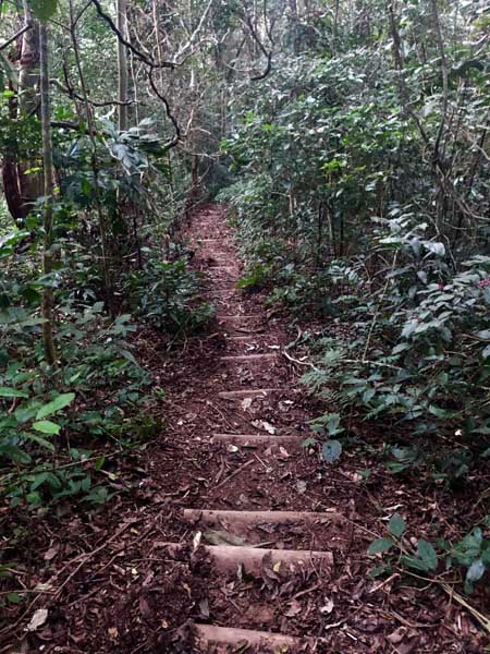 Escadas Trilha do Baepi - Ilhabela - Por Elas Mundo Afora