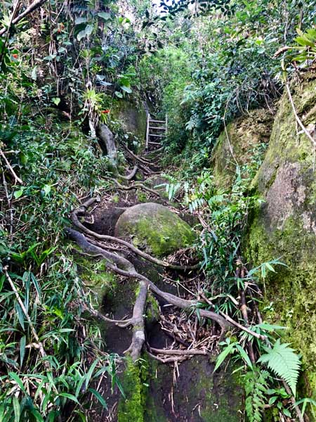 Escadas nas rochas - Trilha do Baepi - Ilhabela - Por Elas Mundo Afora