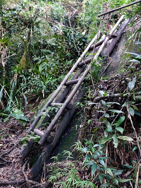 Escadas Trilha do Baepi - Ilhabela - Por Elas Mundo Afora