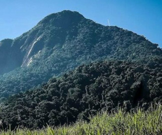 Pico do Baepi - Ilhabela