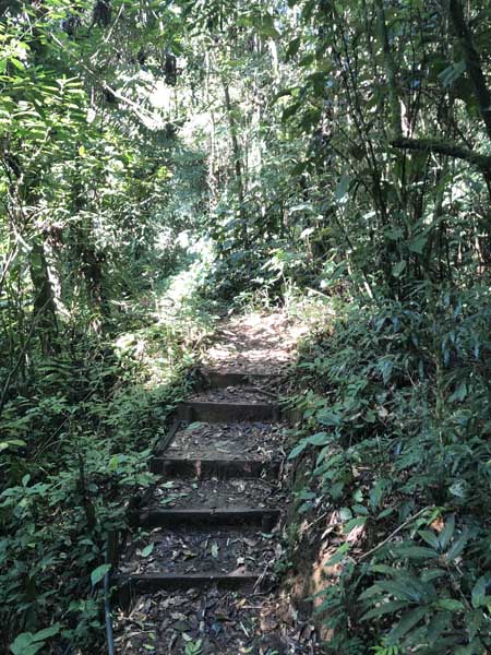 Trilha da Cachoeira do Gato - Praia de Castelhanos - Ilhabela