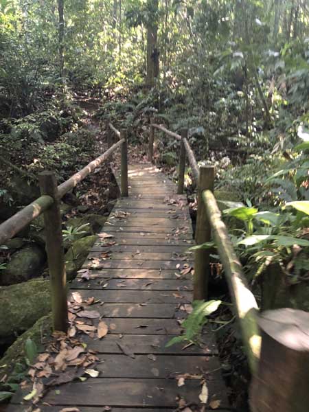 Trilha da Cachoeira do Gato - Praia de Castelhanos - Ilhabela