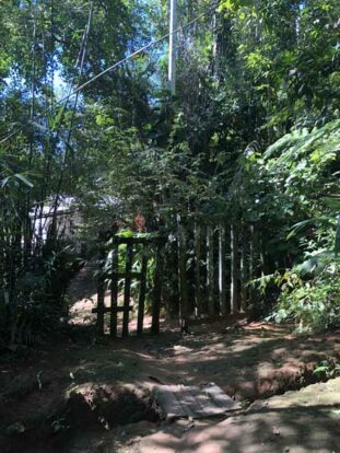 Trilha da Praia Mansa e Vermelha em Ilhabela - Elas Mundo Afora