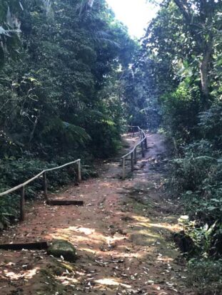 Trilha da Praia Mansa e Vermelha em Ilhabela - Elas Mundo Afora