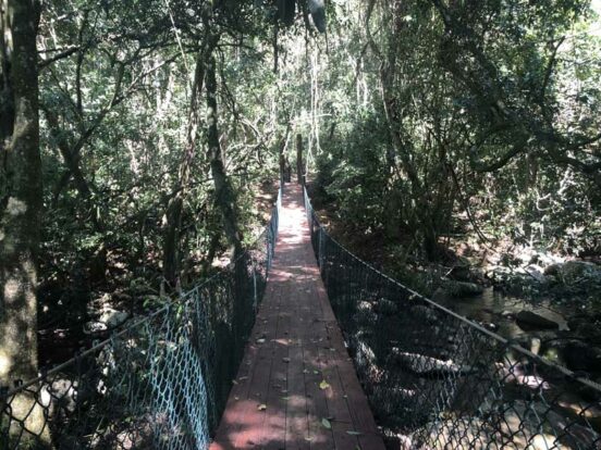 Trilha da Praia Mansa e Vermelha em Ilhabela - Elas Mundo Afora