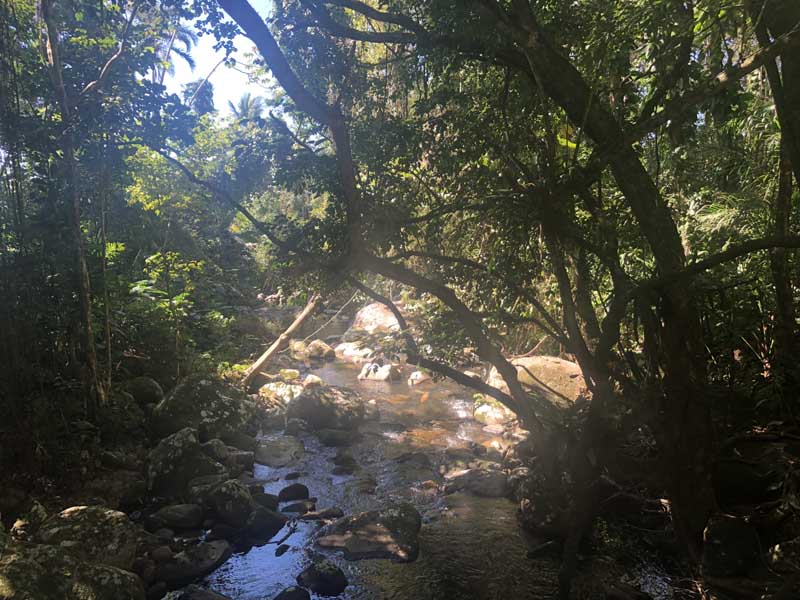 Trilha da Praia Mansa e Vermelha em Ilhabela - Elas Mundo Afora