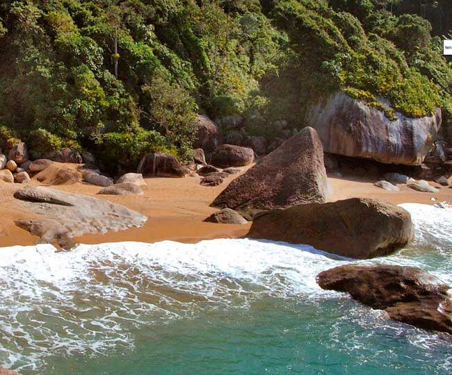 Praia do Gato - Castelhanos - Ilhabela (Foto: Fernando Tomanik)