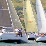 Regata do Camarão em Ilhabela