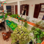 Green Hostel Ilhabela