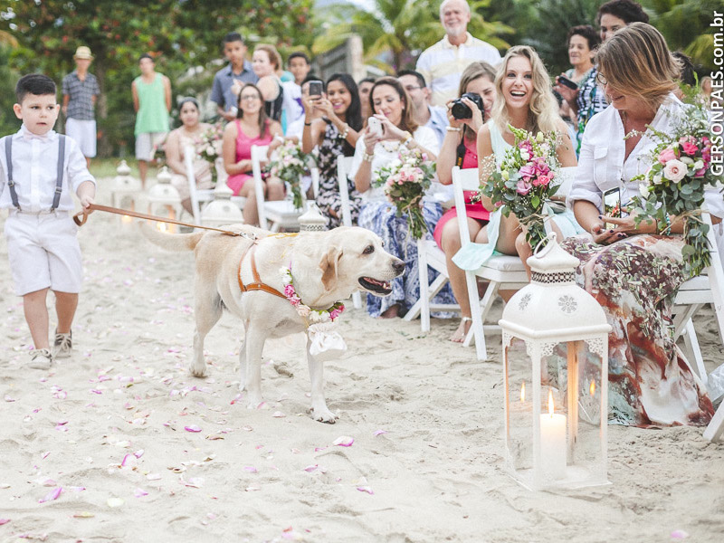 Cachorro em Casamento (Imagem: Gerson Paes/Flickr) - Casamento em Ilhabela