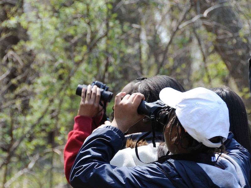 Birdwatching (foto: domínio público)