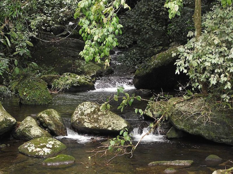 Queda de Água em Ilhabela (foto: rillke - wikimedia commons)