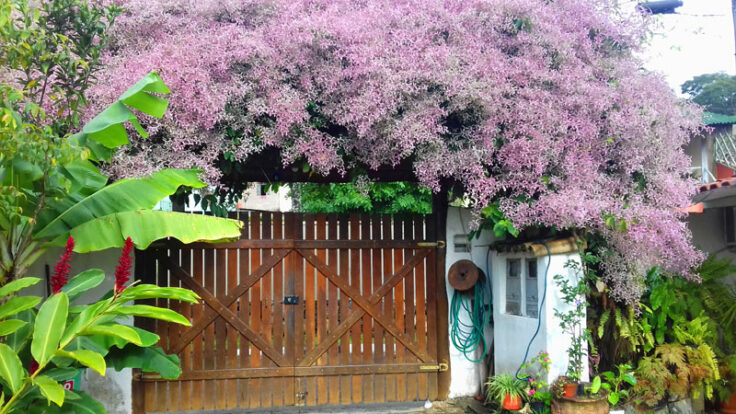 Chalés Raiar do Baepi Ilhabela