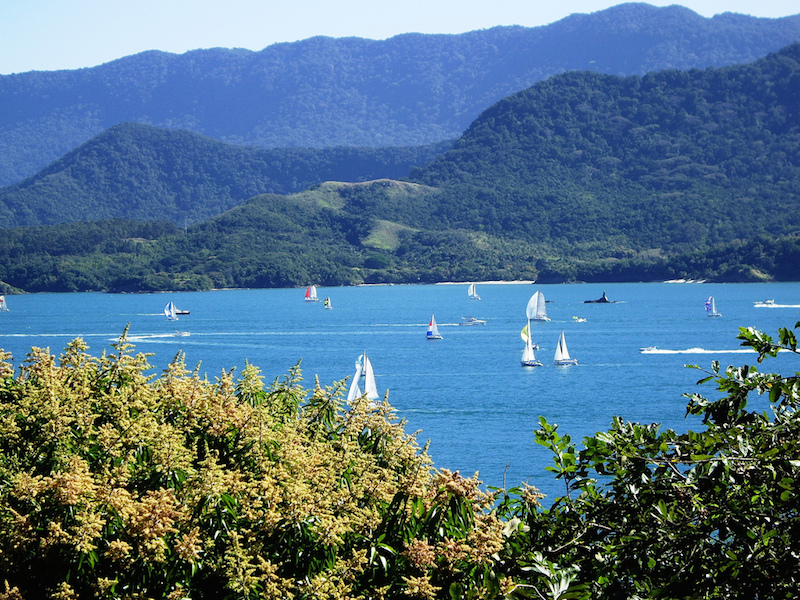 Competição de barco a vela em Ilhabela (Imagem: Flickr/Pedro EA)