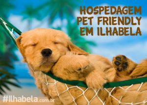 Hospedagem pet friendly em Ilhabela - Ilhabela.com.br