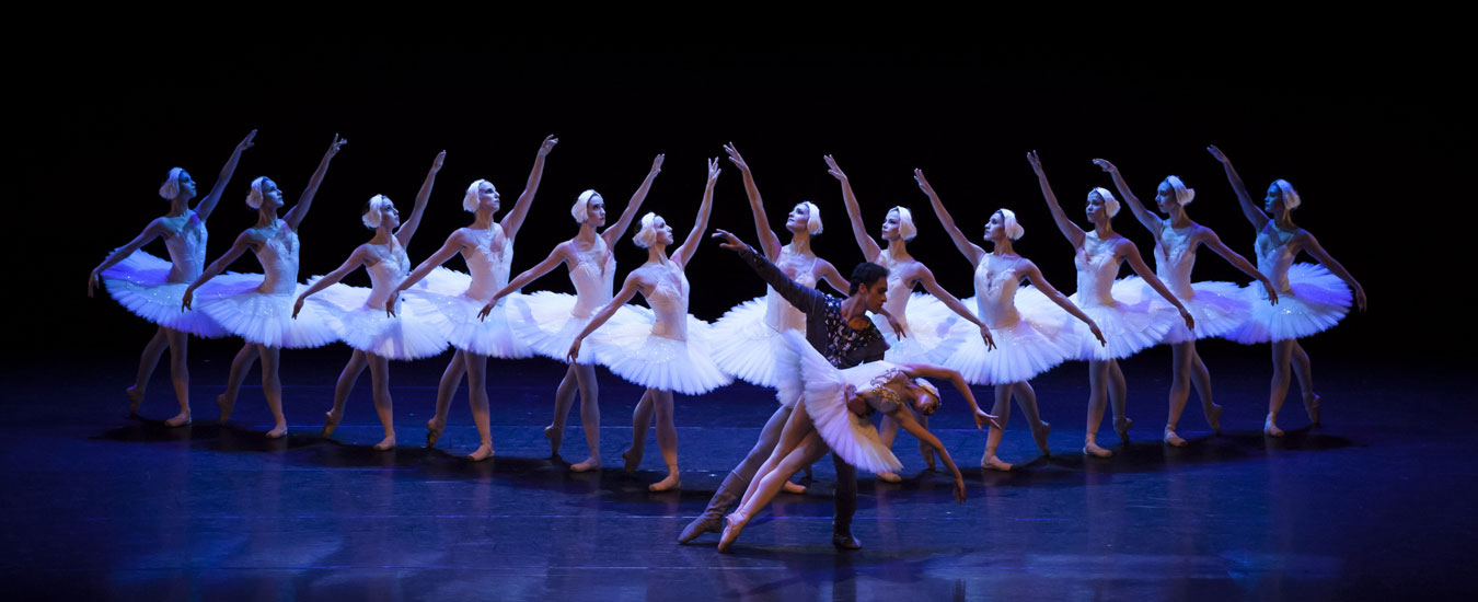 Elenco São Paulo Companhia de Dança em II Ato de O Lago dos Cisnes_de Mario Galizzi (Foto: Fernanda Kirmayr)