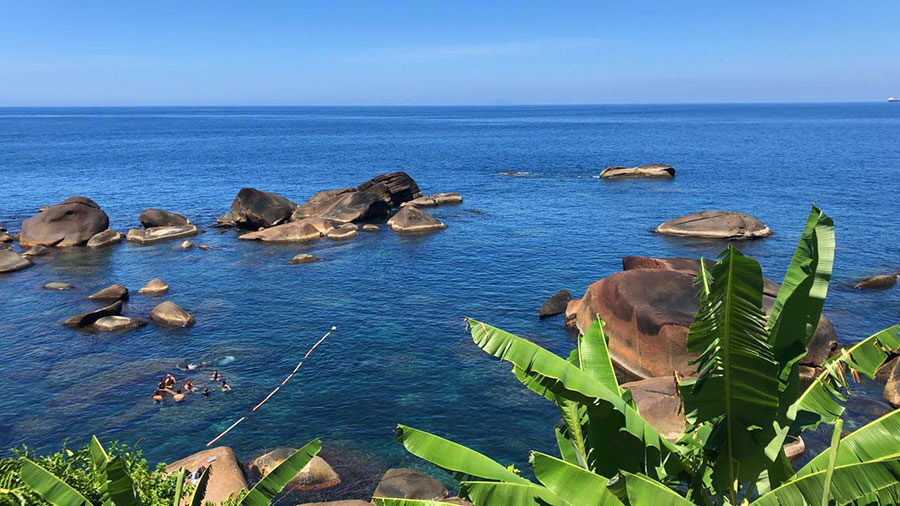 Bar de costeira - Restaurante Nova Iorqui - Ilhabela