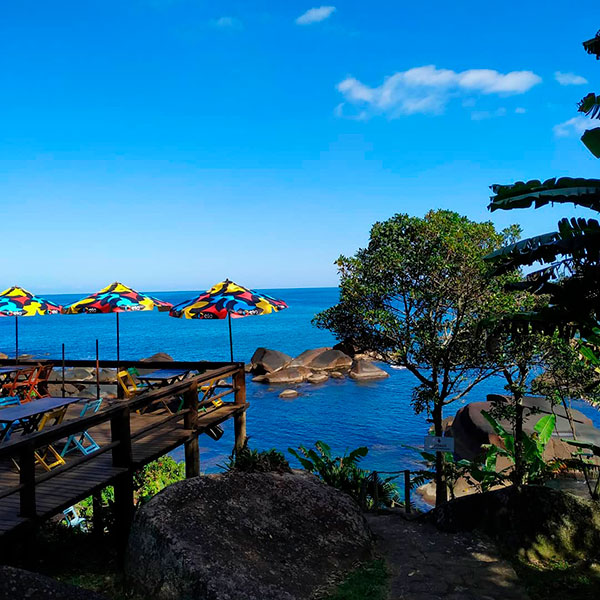 Bar de costeira - Restaurante Nova Iorqui - Ilhabela