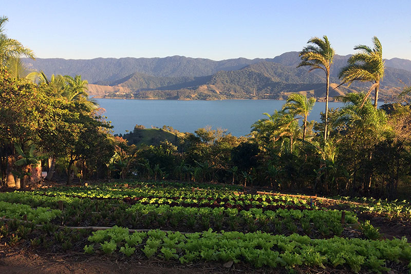 MUDA Alimentos Agroecológicos - Alimentação Saudável em Ilhabela