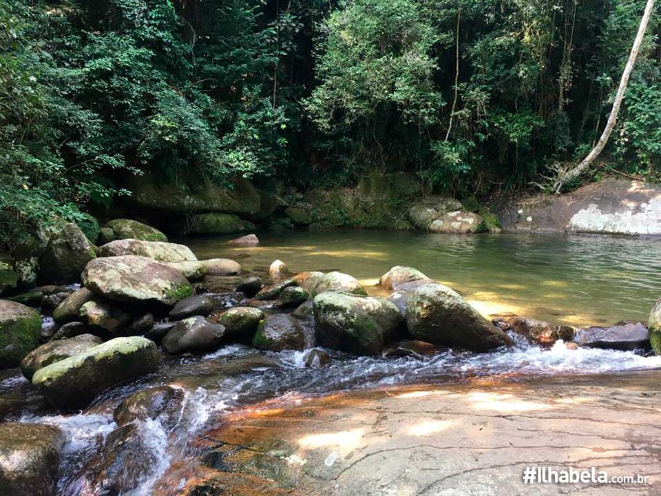 Cachoeira da Trilha da Água Branca Ilhabela