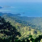 Parque Estadual de Ilhabela - Mirante de Castelhanos - Ilhabela.com.br