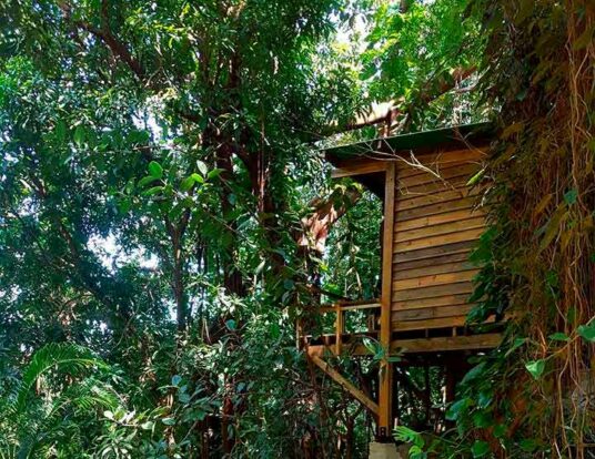 Casa na árvore - Hostel da Vila Ilhabela - Vila Hostels, acomodações criativas