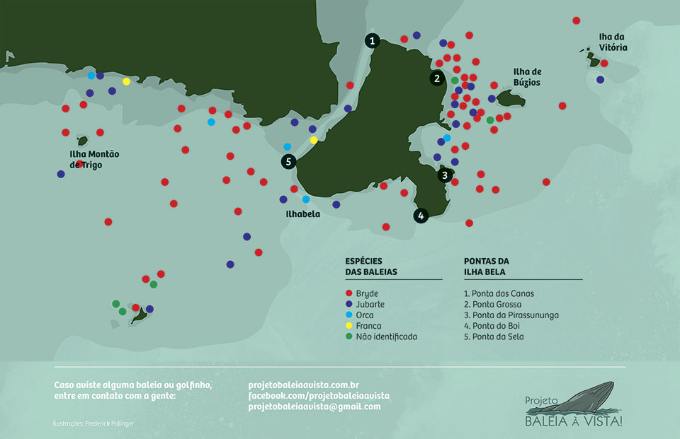 Mapa de avistagens de baleias em Ilhabela, por espécies, em 2018 (Projeto Baleia à Vista)