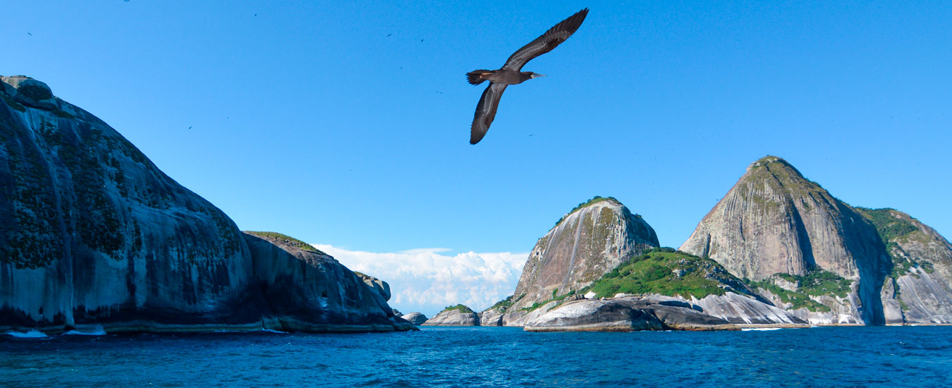 Arquipélago de Alcatrazes: novo ponto de mergulho e turismo náutico