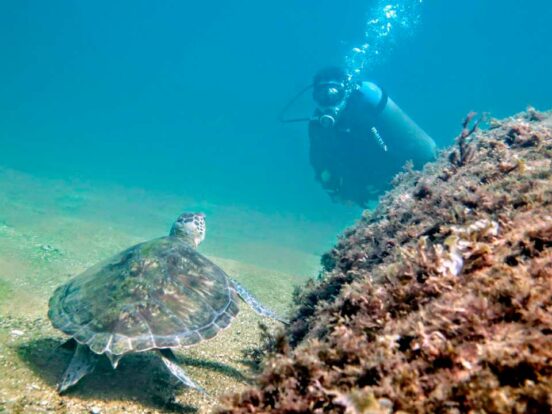 Oceano Sub Atividades Subaquáticas - Mergulho em Ilhabela
