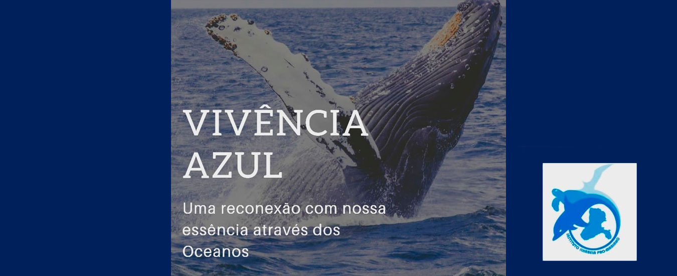 Vivência Azul - Curso Baleias e Golfinhos - Instituto Ilhabela Pró-Marinho