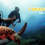 7 dicas sobre mergulho em Ilhabela - Tudo o que você sempre quis saber sobre mergulho e nunca soube para quem perguntar