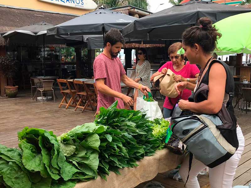 Club Mercado Verde - Feira Sustentável em Ilhabela - Alimentos agroecológicos, produtos artesanais, economia criativa