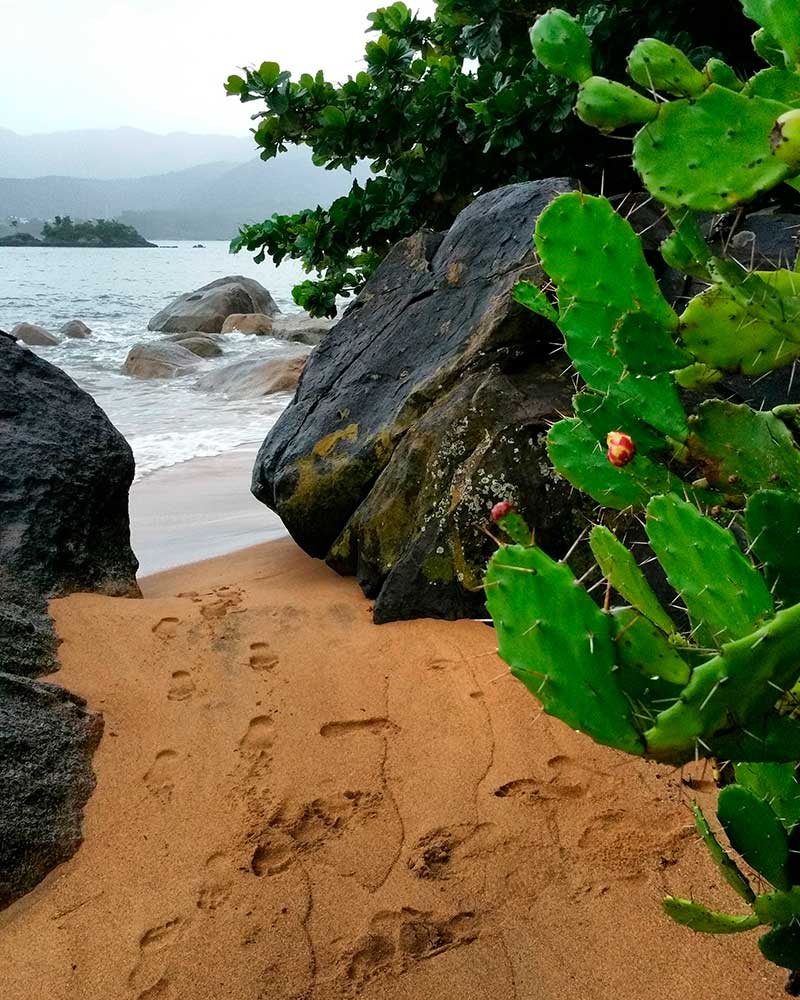 Ilhabela Beach rocks - Ilhabela por Estrangeiros | Ilhabela by Foreigners - Diane Hirt, from United States