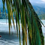 Ilhabela por Estrangeiros | Ilhabela by Foreigners - Diane Hirt, from United States