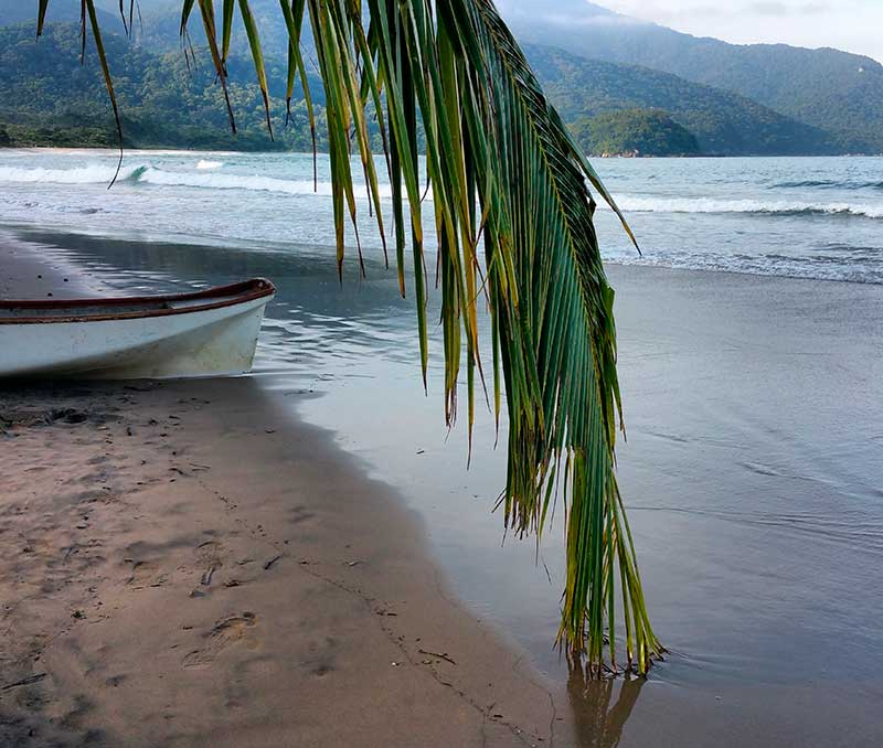 Castelhanos beach - Ilhabela por Estrangeiros | Ilhabela by Foreigners - Diane Hirt, from United States