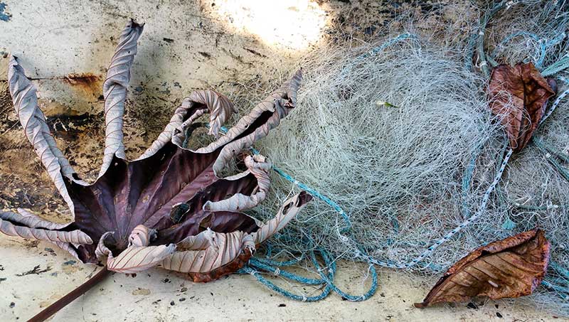 Fishing net - Ilhabela por Estrangeiros | Ilhabela by Foreigners - Diane Hirt, from United States