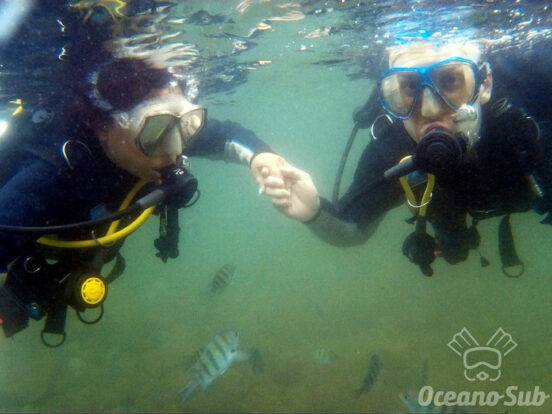 7 dicas de mergulho em Ilhabela - Oceano Sub - Ilhabela.com.br
