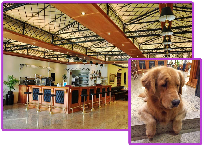 Café Free Port Ilhabela - Pet Friendly