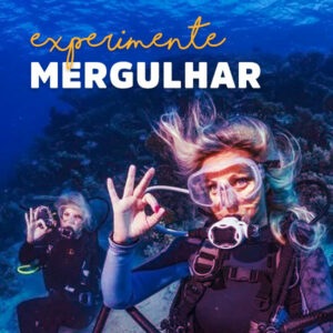 Experimente mergulhar em Ilhabela - Mergulho - Ilhabela.com.br