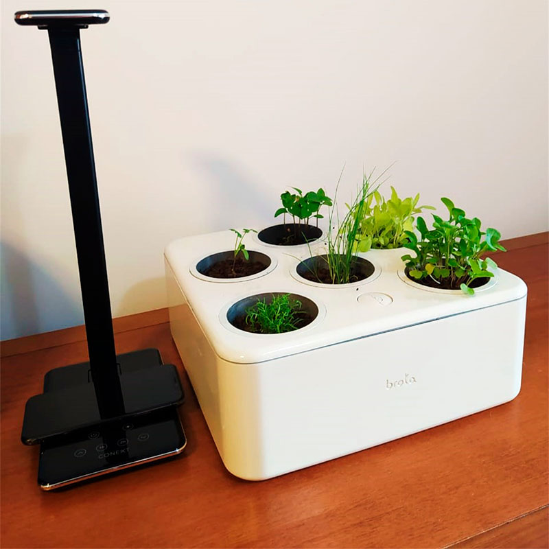 Brota - Horte Inteligente - Ilhabela.com.br