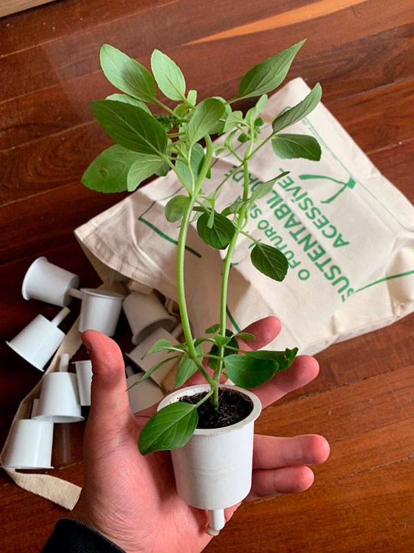 Capsulas da Brota - Horta Inteligente - Ilhabela.com.br