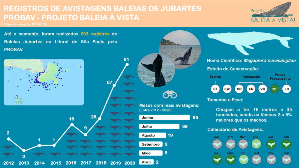 Dados sobre avistamento de baleias no litoral norte - Projeto Baleia à Vista