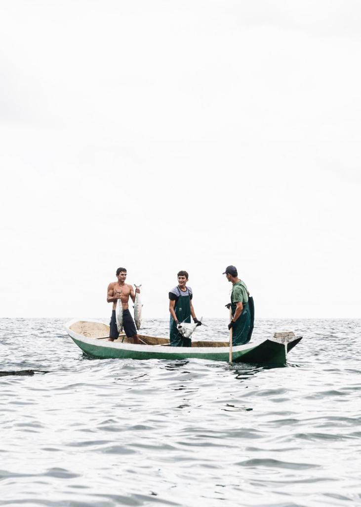 Projeto A.MAR - pesca artesanal em ilhabela