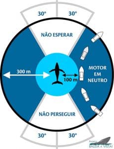 Regras para embarcações ao avistar baleias - Projeto Baleia à Vista