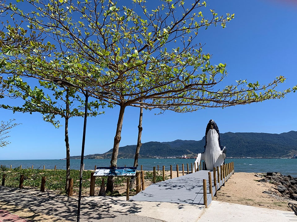 Réplica Baleia Jubarte "Pipoca" em Ilhabela - Praia do Perequê