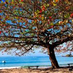 Ilhabela no Inverno - Praia de Castelhanos (Foto: Acervo Ilhabela.com.br)