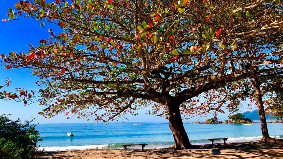 Ilhabela no Inverno - Praia de Castelhanos (Foto: Acervo Ilhabela.com.br)